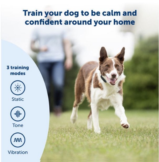 Picture of NO BARK COLLAR, LITE RECHARGEABLE STATIC,  PETSAFE- PBC17-16447