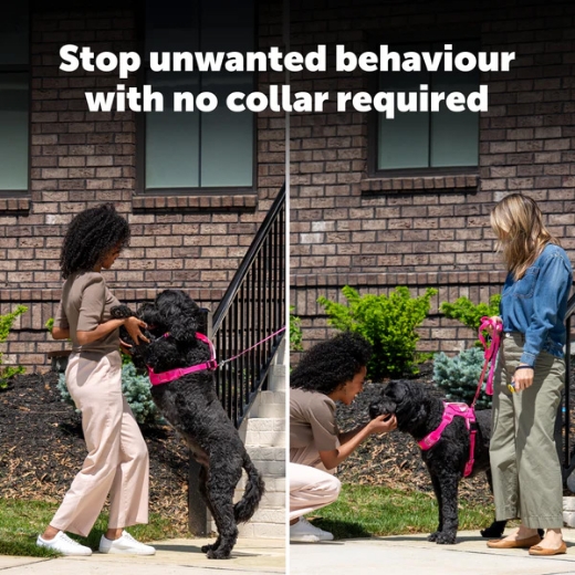 Picture of COLLARLESS ULTRASONIC REMOTE TRAINER,  PETSAFE-PDT10-18215