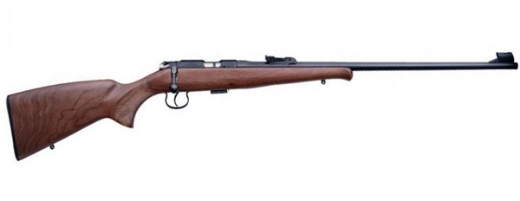 Picture for category RIMFIRE RIFLES