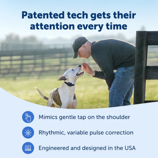 Picture of 300M CORE DOG REMOTE TRAINER,  PETSAFE- PDT10-18037