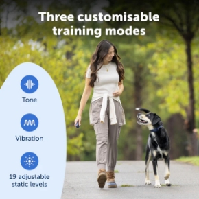 Picture for category DOG GEAR