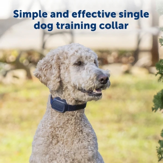 Picture of BASIC DOG REMOTE TRAINER 90M,  PETSAFE- PDT10-18035