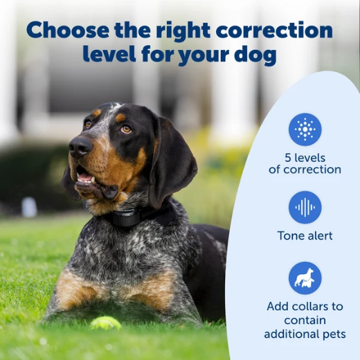 Picture of PETSAFE® STAY & PLAY WIRELESS FENCE CONTAINMENT SYSTEM   PIF45-13479