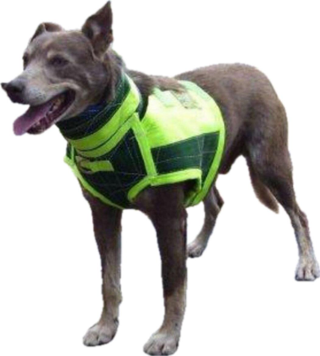 Picture of BREASTPL FULL BODY COLLAR, SMALL 30-38kg, DUNCANS