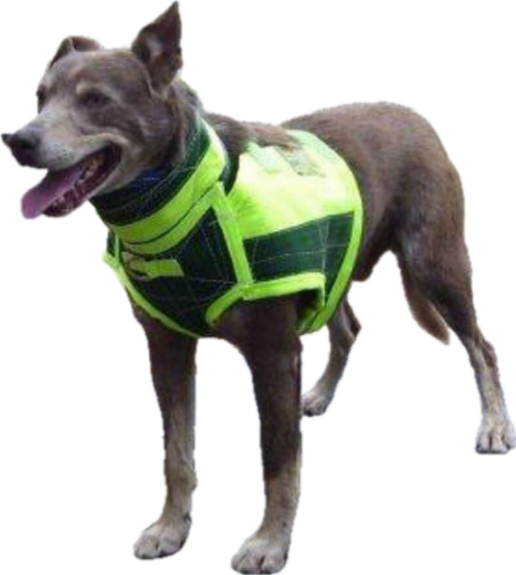 Picture of BREASTPL FULL BODY COLLAR, SMALL 30-38kg, DUNCANS
