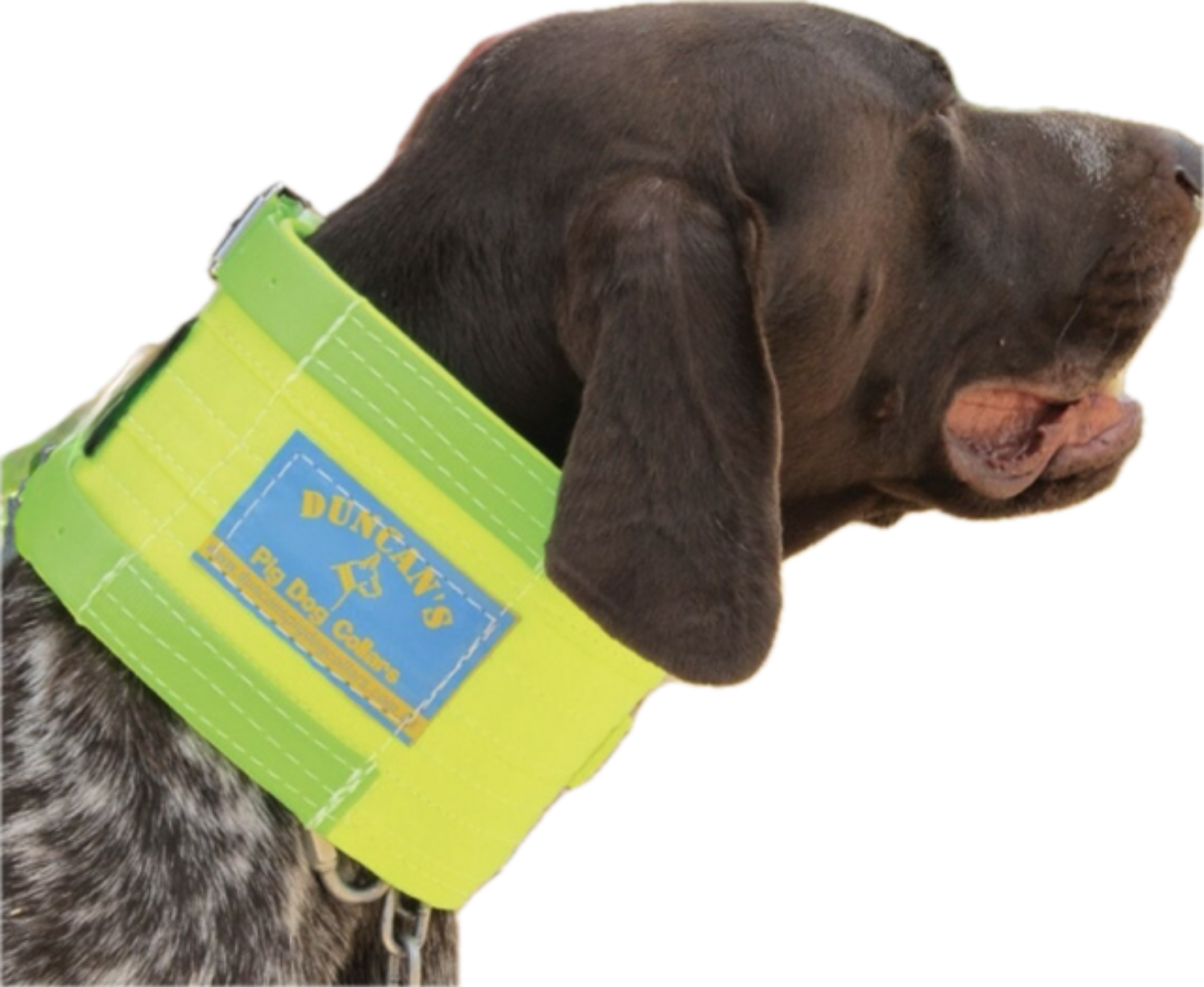 Picture of NECKCOLLAR, LARGE SUIT NECK- 50-62cm, 10cm WIDE, DUNCAN   ASSORTED COLOURS